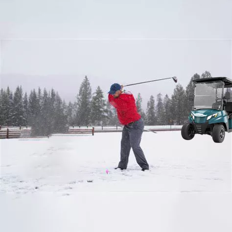 Snow Golfing with cart