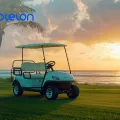 Should a Resort or Beachfront Property Buy More Golf Carts or Invest in Spare Lithium Batteries?