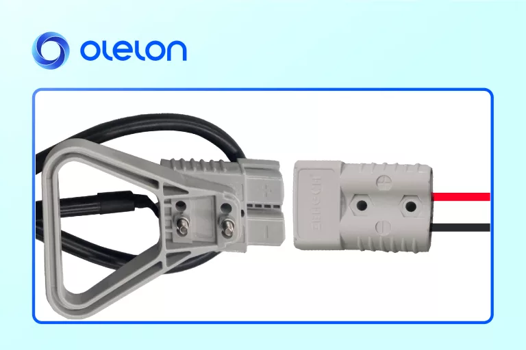 Olelon Magic Battery with Anderson 175A Connector 1